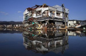 Kartat e identitetit dhe cunami Iute Albania