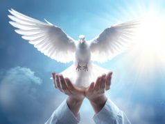 Surprizë! Paqe? Trump njofton armëpushim mes Iranit dhe Izraelit