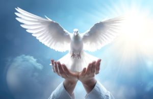 Surprizë! Paqe? Trump njofton armëpushim mes Iranit dhe Izraelit