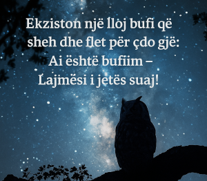 BufiIm