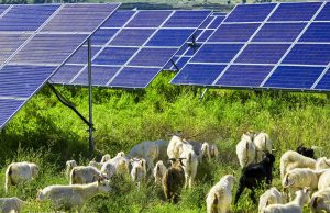 Mali i Kaninës zhduket nën panelet diellore – zbulohet nervozizmi kryeministror me Bashkinë e Vlorës.