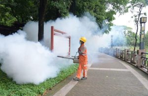 Chikungunya: Virusi i heshtur që po sfidon Kinën dhe kërcënon botën