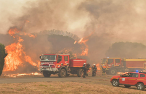 Franca përfshihet nga zjarri më i madh i vitit – viktima dhe dëme masive