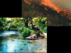 Zjarri rrezikon Syrin e Kaltër – Evakuohen turistët, situata në emergjencë