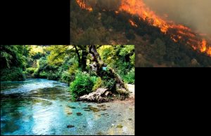 Zjarri rrezikon Syrin e Kaltër – Evakuohen turistët, situata në emergjencë