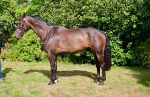 Një foto që u kthye në tragjedi në Kalanë e Beratit