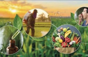 Përsëri pesticide nga Shqipëria? Kroacia bllokon një ngarkesë tjetër eksporti ushqimor